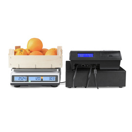 Preisrechenwaage RPB 6K1DM geeicht | Wiegebereich bis 3 kg | 6 kg | Unterteilung 1 g | 2 g Produktbild 2 S